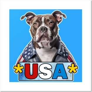 American Bully USA Posters and Art